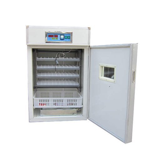 Sentwin Egg Incubator with transparent lid and egg tray.